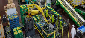 Tana crece a doble dígito y realiza fuertes inversiones para ganar eficiencia