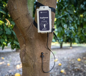 The Foodtech Lab toma el control en la especialista en riego de precisión Treetoscope y traslada a España su gestión