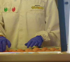Marcopolo Comercio bate récord de inversión y deja atrás el impacto de la gripe aviar