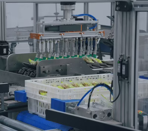 Coalza Systems e Irta Group llevan la automatización integral del envasado y encajado de frutos secos a la planta de bonÀrea en Épila