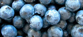 Ideal Fruits supera los 65 M€ de ventas gracias al crecimiento del arándano en el mercado nacional