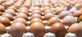 Avícola Barco entra en el Top10 del sector de huevos de mesa, impulsada por su expansión corporativa e inversión