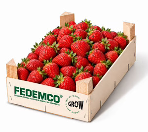 Fedemco mostrará en Fruit Attraction su proyecto de Declaración Ambiental de Producto