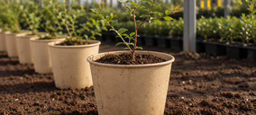 Hinojosa presenta en Fruit Attraction una innovadora biomaceta compostable para el cultivo en vivero