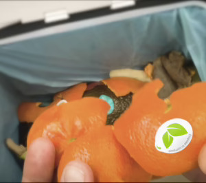 Sinclair facilita la identificacion y reciclaje de las etiquetas compostables de frutas