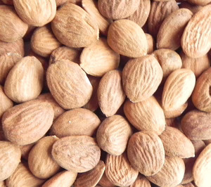 Almendras Cremades levantará una nueva fábrica para triplicar capacidad