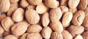 Almendras Cremades levantará una nueva fábrica para triplicar capacidad
