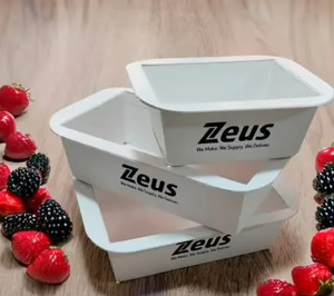 Zeus Packaging Spain recibe una subvención para modernizar su planta de Valencia