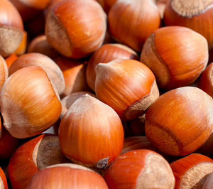 La nueva The Real Nuts quiere hacerse un hueco en el mercado europeo de frutos secos
